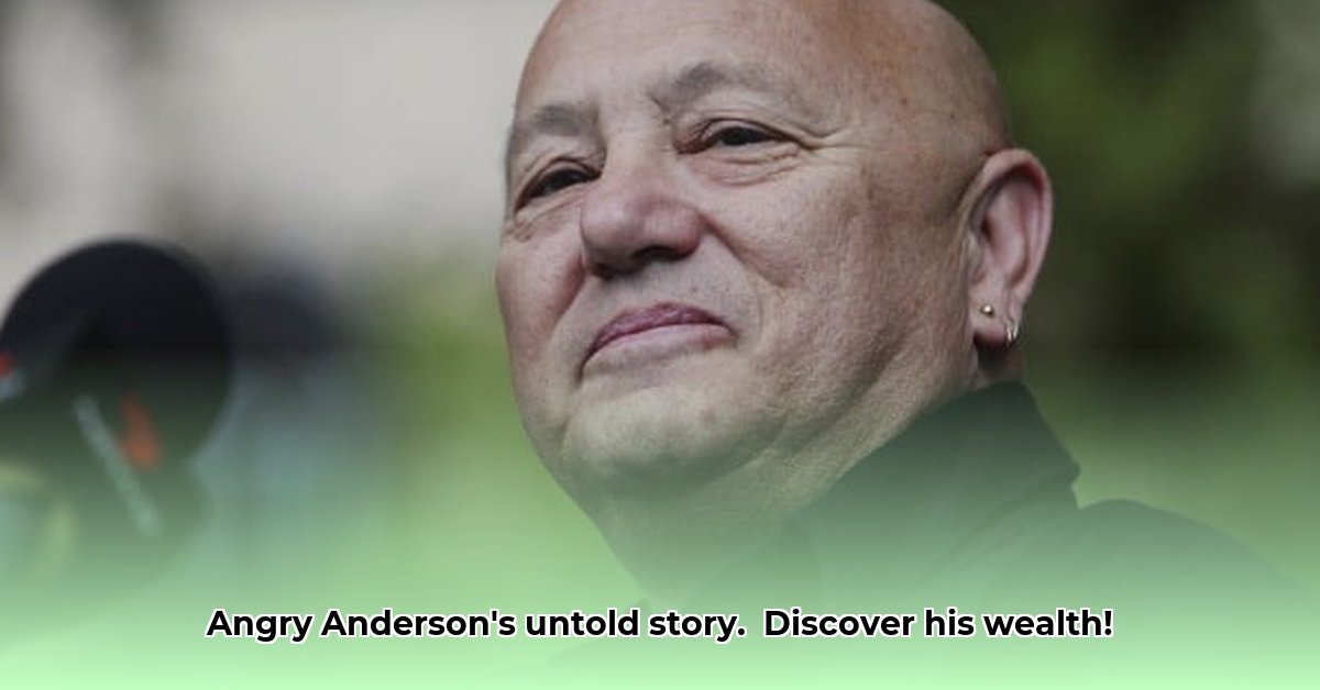 angry-anderson-net-worth